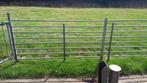 Gegalvaniseerde hekken., Dieren en Toebehoren, Meerdere dieren, Schaap