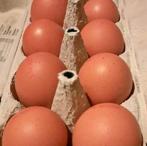 Kakel verse eieren, van vrije uitloop kippen., Diversen, Levensmiddelen, Ophalen