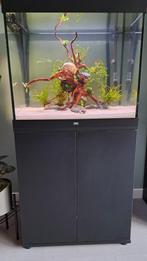 Juwel Lido 200 aquarium met originele onderkast, Dieren en Toebehoren, Vissen | Aquaria en Toebehoren, Ophalen, Zo goed als nieuw