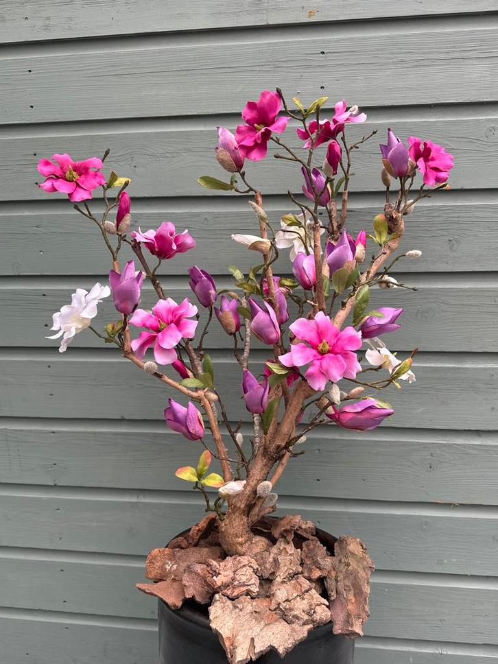 Nieuw Magnolia Boom - Handgemaakt & Uniek, Huis en Inrichting, Woonaccessoires | Kunstplanten en Kunstbloemen, Nieuw, Binnen, Ophalen