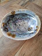 Abalone schelp met zakje salie, Ophalen of Verzenden, Nieuw