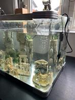 Een mooie kleine Aquarium (B30-H30-D30 cm), Ophalen, Gebruikt, Leeg aquarium