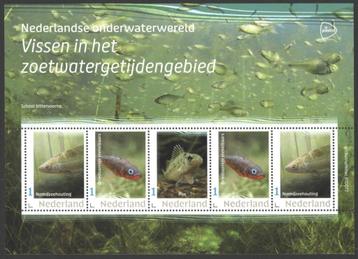 Nederlandse Onderwaterwereld: Vissen Zoetwatergetijdengebied beschikbaar voor biedingen