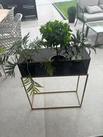 Plantenbakhouder, Tuin, Minder dan 60 cm, Vierkant, Ophalen of Verzenden