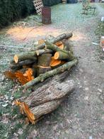 Boomwal of bomen? Wij komen ze zagen voor brandhout!, Tuin en Terras, Haardhout, Minder dan 3 m³, Ophalen of Verzenden