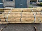 Bonenstokken/staken bamboe tonkin plantensteun, Tuin en Terras, Palen, Balken en Planken, Nieuw, Overige typen, 250 cm of meer