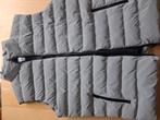 Nieuw Lacoste Bodywarmer XL maat bieden., Kleding | Heren, Bodywarmers, Ophalen of Verzenden, Zo goed als nieuw, Maat 56/58 (XL)