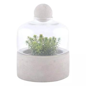 2x Kweekfles Terrarium – Beton & Glas  beschikbaar voor biedingen