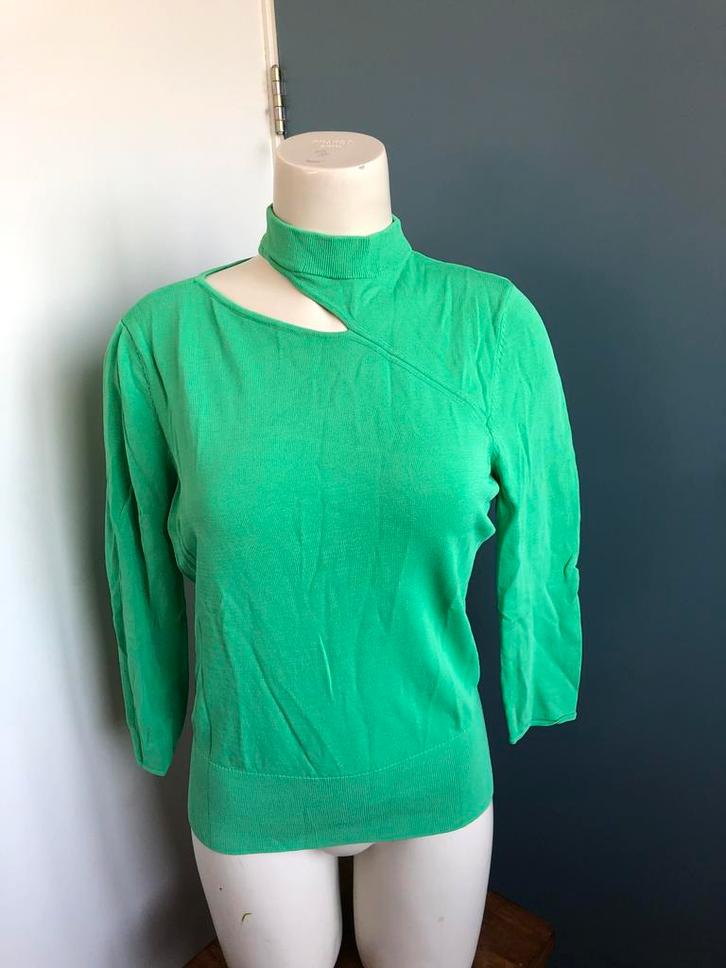 Claudia strater groen truitje 42, Kleding | Dames, Truien en Vesten, Zo goed als nieuw, Maat 42/44 (L), Groen, Ophalen of Verzenden