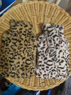 2 Kruiken met luipaardprint, Ophalen of Verzenden, Gebruikt