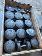 Technogym dumbells 20-34 kg dumbell set gewichten, Sport en Fitness, Fitnessmaterialen, Ophalen, Dumbbell, Dumbells, 20-34 kg