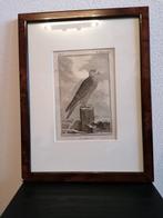 Kopergravure Leclerc, Buffon 1770 Le Gerfaut Giervalk Valk, Antiek en Kunst, Kunst | Etsen en Gravures, Ophalen of Verzenden