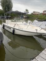 Cabincruiser met 140 pk 4takt en trailer, Watersport en Boten, Vis- en Consoleboten, Gebruikt, 6 meter of meer, Ophalen, 70 pk of meer