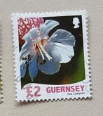 Guernsey Sea Campion  gest, Verzenden, Gestempeld