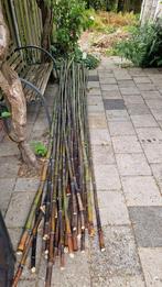 Bamboe stokken, Ophalen, Zo goed als nieuw, 250 cm of meer