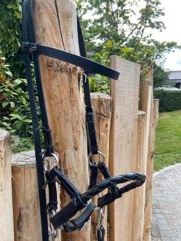 FRA Pariba sidepull hoofdstel beschikbaar voor biedingen