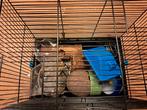 Hamsterkooi, Kooi, Gebruikt, Minder dan 75 cm, Ophalen