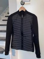 Adidas donsjas varilite hybrid down jacket dames sportjas XS, Maat 34 (XS) of kleiner, Ophalen of Verzenden, Zo goed als nieuw