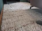 Mooi vloerkleed 290cm bij 200cm, Ophalen, Gebruikt, Beige, 200 cm of meer