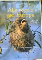 Alle vogels van Europa - Peter Hayman Rob Hume, Boeken, Ophalen of Verzenden, Vogels, Zo goed als nieuw
