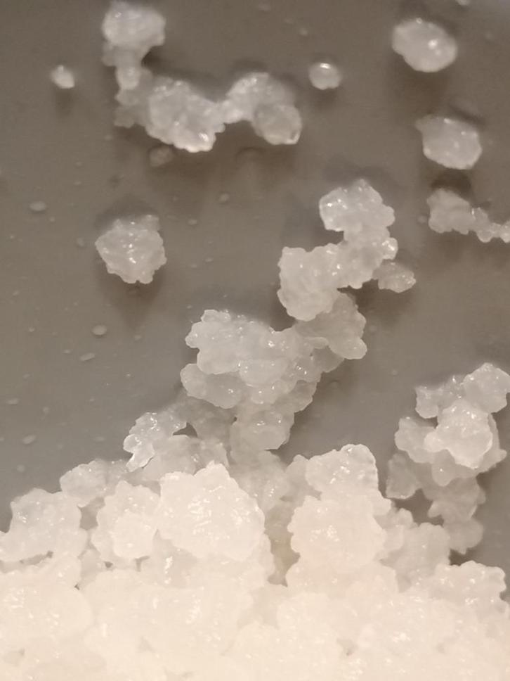 Te Koop Waterkefir /Water Kefir nieuw, Diversen, Levensmiddelen, Ophalen of Verzenden