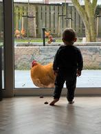 Orpinton Buff Haan groot ras, Mannelijk, Kip