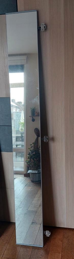 Spiegeldeur Vijedal voor Pax kast 25x195 beschikbaar voor biedingen