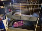 Cavia/konijnen kooi, Dieren en Toebehoren, Knaagdieren en Konijnen | Hokken en Kooien, Kooi, Cavia, Zo goed als nieuw, 75 tot 110 cm