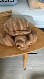 Pandadroom schildpad, Ophalen of Verzenden, Zo goed als nieuw, Overige typen