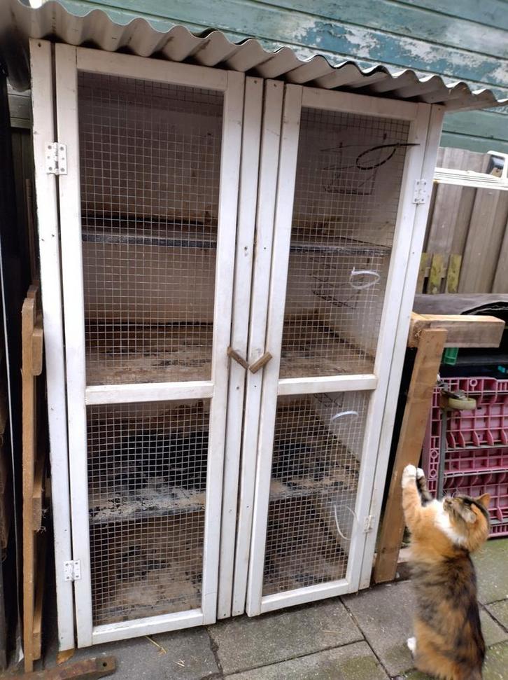 Groot stevig caviahok caviaflat konijnenhok konijnenflat, Dieren en Toebehoren, Knaagdieren en Konijnen | Hokken en Kooien, Gebruikt