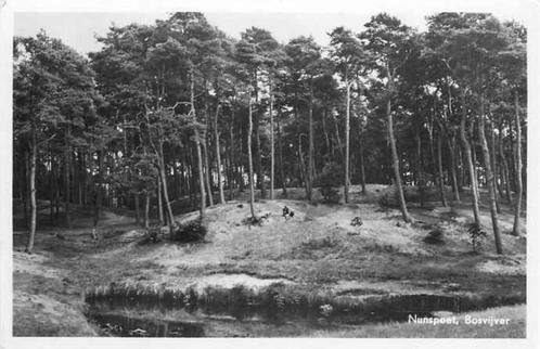 (301-249-011) Nunspeet Bosvijver, Verzamelen, Ansichtkaarten | Nederland, Gelderland, Verzenden