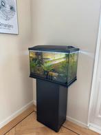 Compleet aquarium 70l incl. meubel en vissen, Dieren en Toebehoren, Ophalen, Zo goed als nieuw, Gevuld zoetwateraquarium