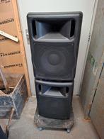 2 x 12 icnch 300 watt kunstof kasten 300 euro, Ophalen, 120 watt of meer, Overige typen, Overige merken