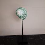 Groene grote echte schelp ornament op voet, Huis en Inrichting, Ophalen of Verzenden, X, X, X