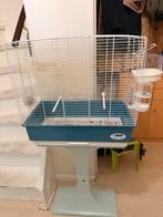 Mooie vogel kooi te koop, Dieren en Toebehoren