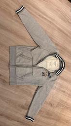 Abercrombie & Fitch Vintage Sweater in de maat XL, Ophalen of Verzenden, Gedragen, Maat 56/58 (XL), Grijs