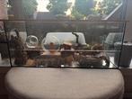 Terrarium hamsterscaping/knaagdier 120x50x50 met toebehoren, Dieren en Toebehoren, Knaagdieren en Konijnen | Hokken en Kooien