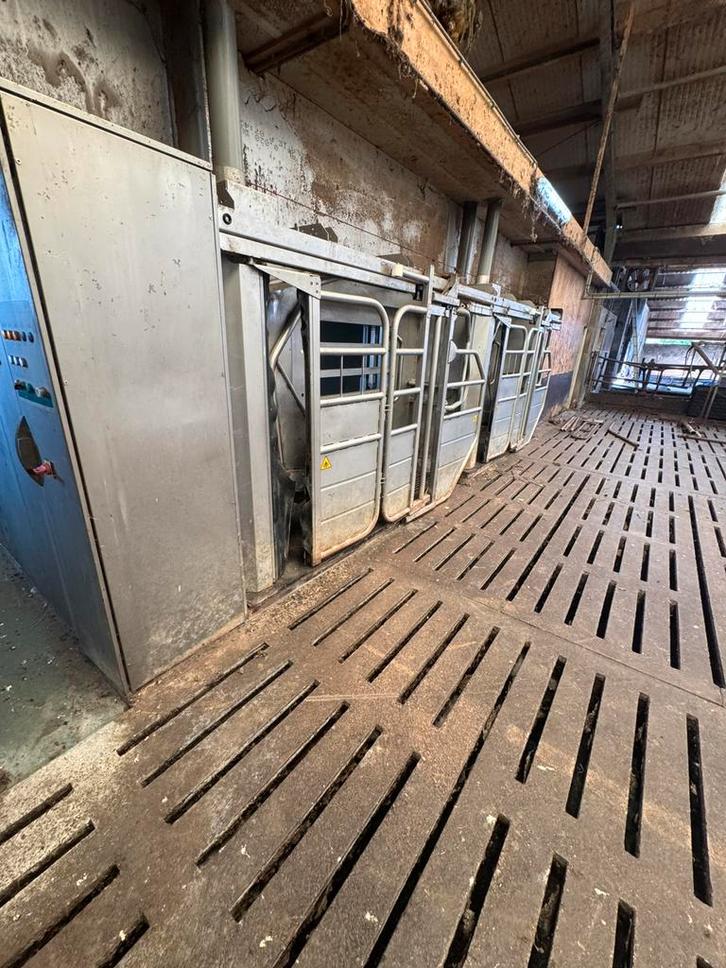Gea MiOne melkrobot 2012, Dieren en Toebehoren, Stalling en Weidegang
