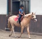 De allerliefste kinder poets en speelpony!, Dieren en Toebehoren, Pony's, B, Gechipt, Ruin, Springpony