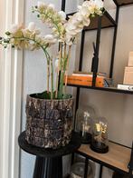 Schelpen Bloempot Eric Kuster Stijl excl plant, Tuin en Terras, Bloempotten, 25 tot 40 cm, Overige materialen, Rond, Binnen