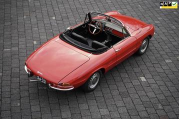 Alfa Romeo 1750 SPIDER VELOCE DUETTO beschikbaar voor biedingen
