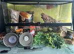 Nette Terrarium Exo Terra reptiel, Dieren en Toebehoren, Ophalen, Zo goed als nieuw, Terrarium of Paludarium