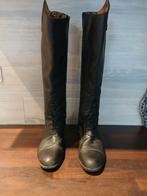 Paardrijlaarzen Ariat, Ophalen, Zo goed als nieuw, Dressuur, Schoeisel