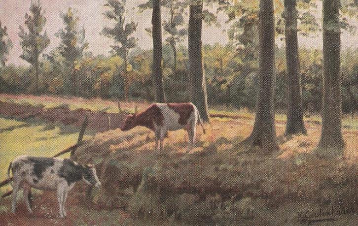 Gerstenhauer - 975 - twa : Serie 124 - Koeien - Reclame, Verzamelen, Ansichtkaarten | Themakaarten, Voor 1920, Overige thema's