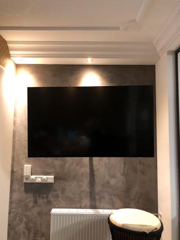 In nieuwstaat monitor beeldscherm Philips 55 inch beschikbaar voor biedingen