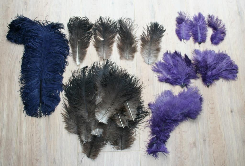 Brocante Veren voor Hoeden, Ophalen of Verzenden, Nieuw, One size fits all, Hoed