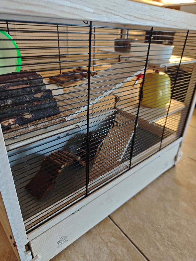 Hamsterkooi met accessoires, Kooi, Minder dan 75 cm, Ophalen, Minder dan 60 cm