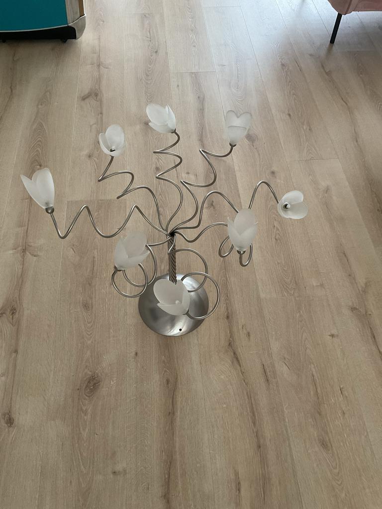 Rieten kat of hondenmand, Ophalen of Verzenden, Riet