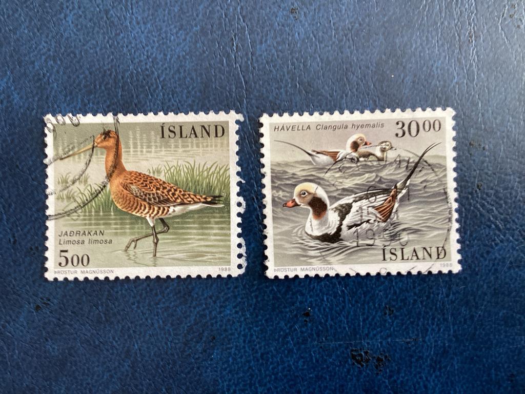 IJslandse  -1988 - Vogels: Grutto & IJseend -Mi.691/92, Ophalen of Verzenden, IJsland, Gestempeld