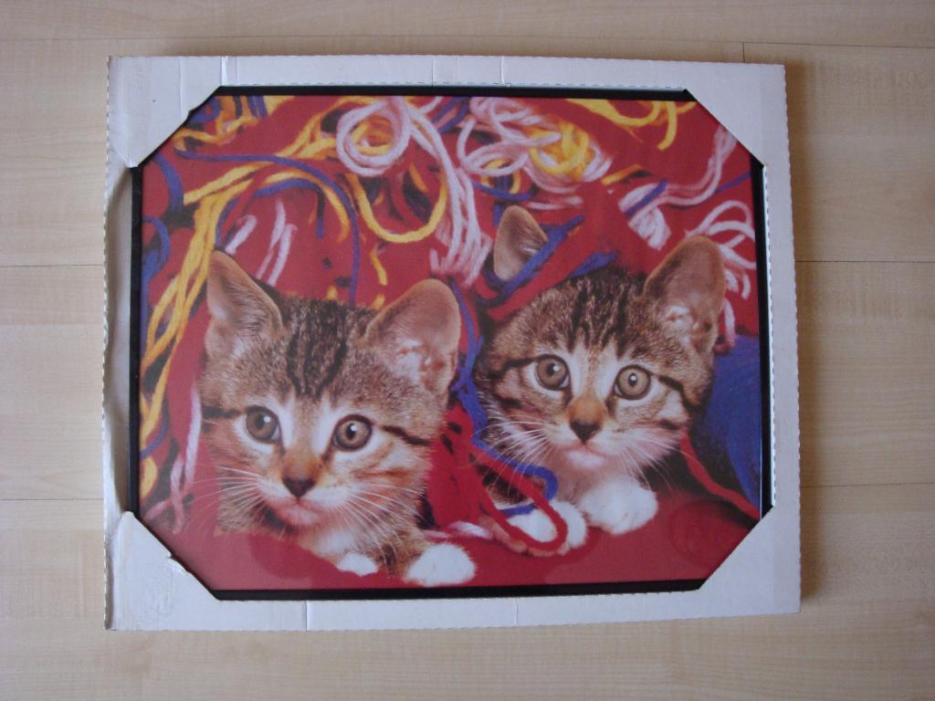 Lijst wissellijst met zwarte rand 40 x 51 cm nieuw, Huis en Inrichting, Woonaccessoires | Lijsten, Ophalen, Overige materialen